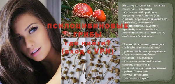 кокаин перу Касимов